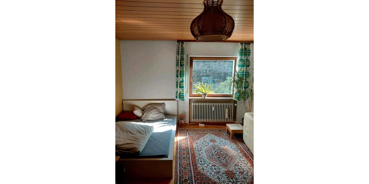 Erdgeschoßwohnung Wilgartswiesen - 3 Zimmer, 140 m&sup2;, 1.000&euro; | Angebot:26492669
