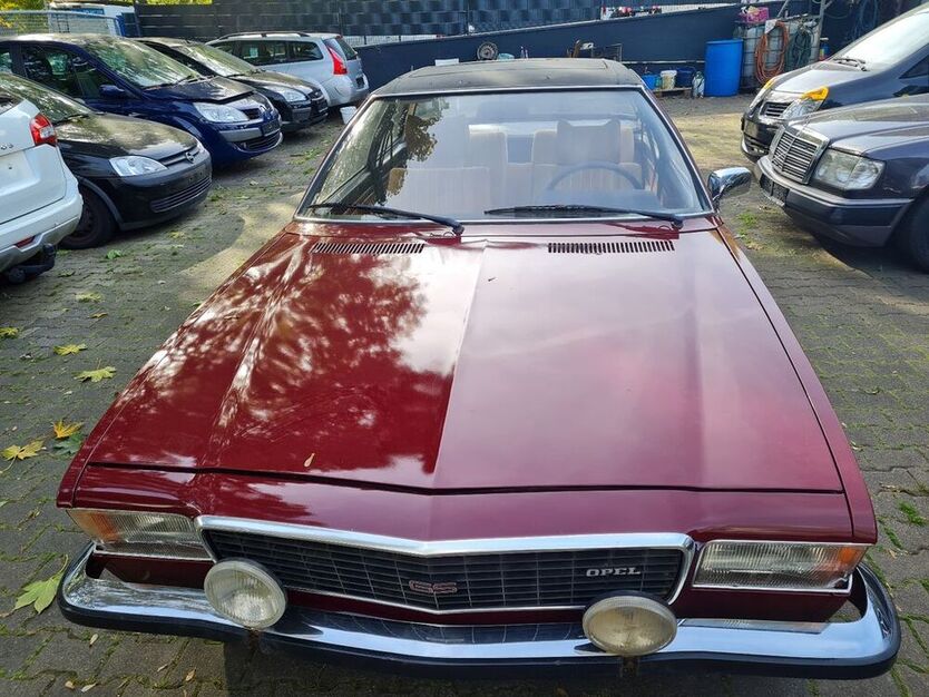 Commodore