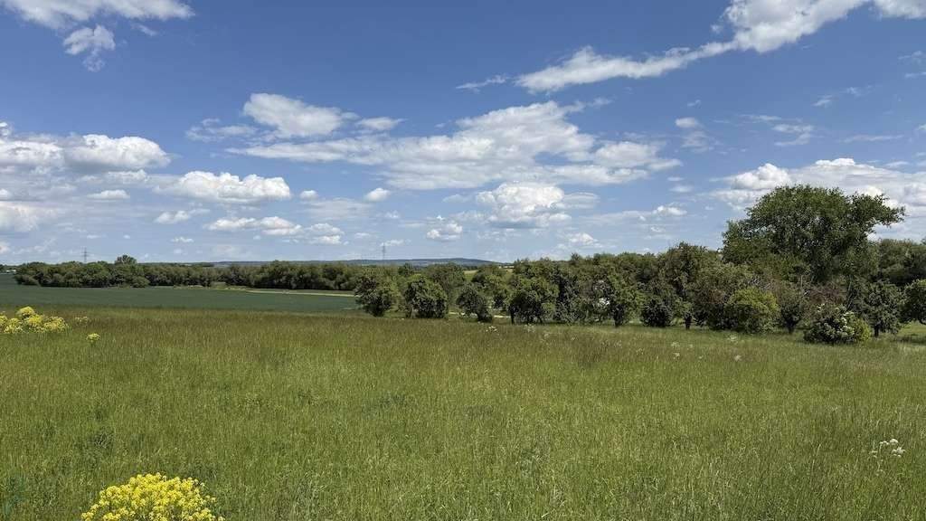 Grundstück Arnstadt Marlishausen - 143.520&euro; | Angebot:25667348