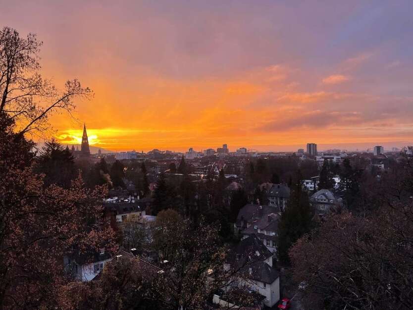Wohnung zum Kaufen in Freiburg 1.890.000 € 184 m² 6 zimmer