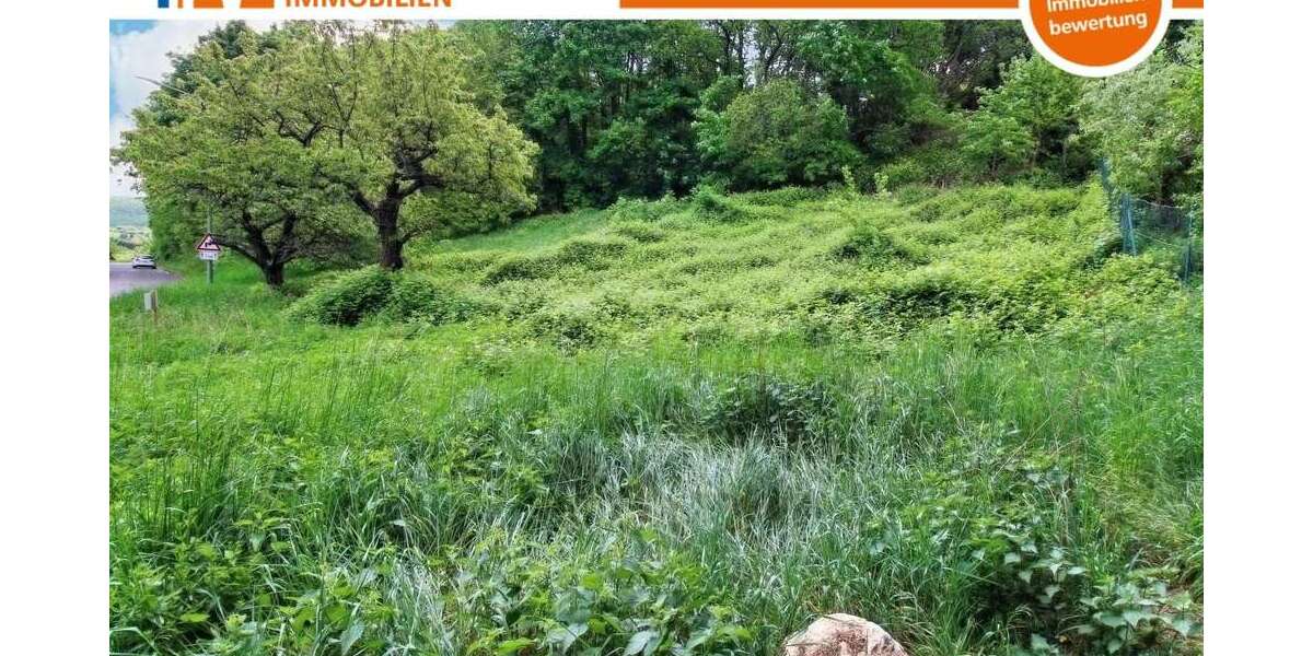 Grundstück zu verkaufen in Dannenfels 99.500 € 1185 m² zimmer