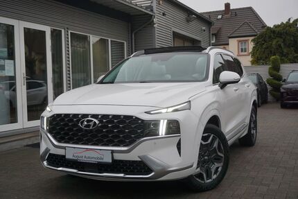 Hyundai SANTA FE 38.000 km 32.899 &euro; Worms 67549