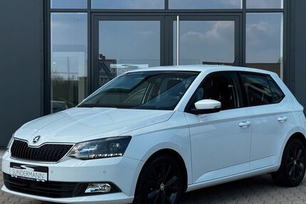 Skoda Fabia 118.000 km 8.990 &euro; Heek 48619