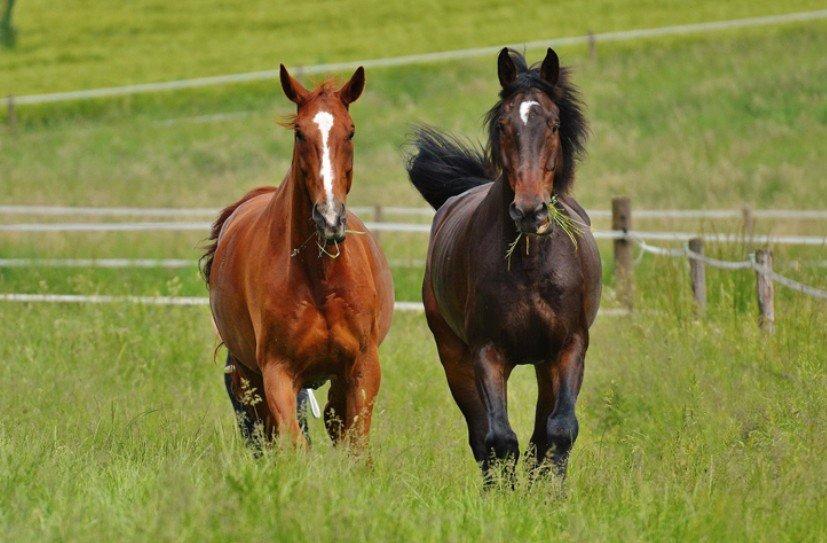 Grundstück Ahrenshagen-Daskow Daskow - 125.000&euro; | Angebot:26133643