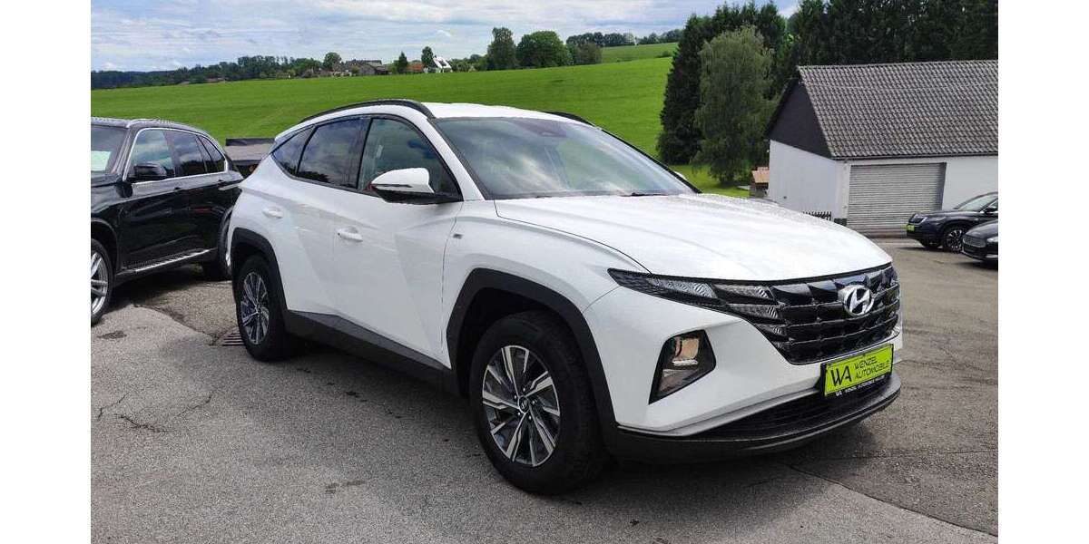 Hyundai TUCSON 96.363 km 19.995 &euro; Halver 58553
