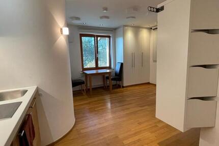 Schönes stilvolles 1-Zimmer Appartment zu vermieten 1 zimmer