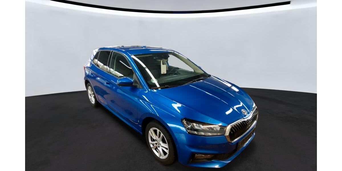 Skoda Fabia 161.000 km 10.299 &euro; Ditzingen 71254