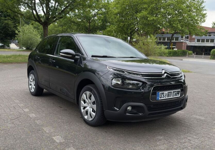 C4 Cactus