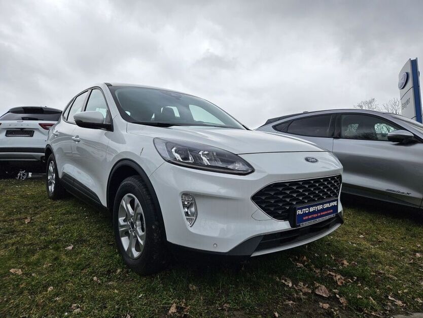 Kuga