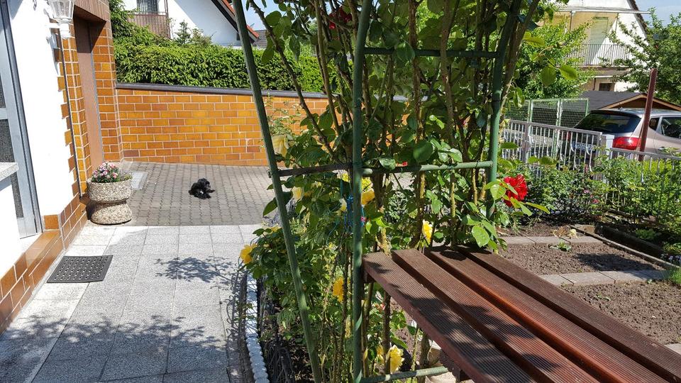 Einfamilienhaus Lohr am Main - 5 Zimmer, 119 m&sup2;, 289.000&euro; | Angebot:26367836