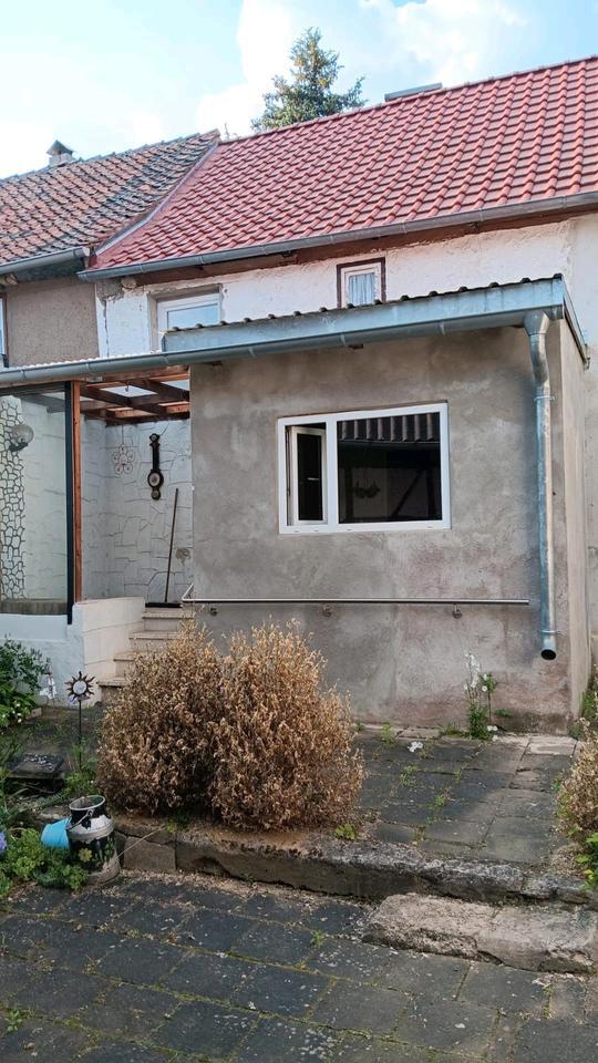 Haus mit Grundstück