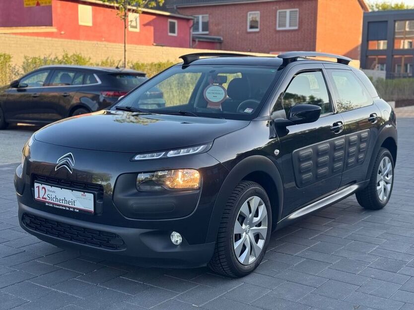 C4 Cactus