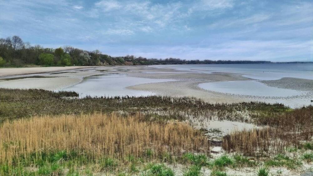 Grundstück Wohlenberg Wohlenberg - 469.000&euro; | Angebot:25731157