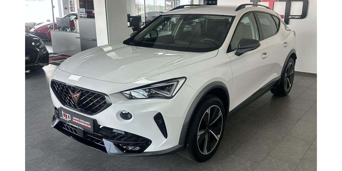 Cupra Formentor 16.800 km 24.250 &euro; Heroldstatt 72535