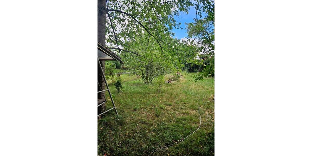 Reihenhaus Dommitzsch - 50.000&euro; | Angebot:26915429
