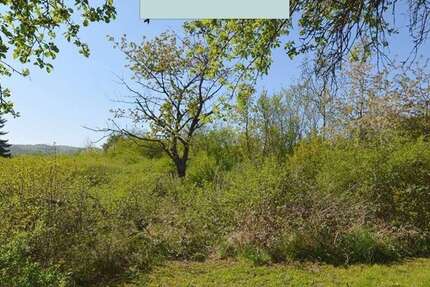 Grundstück Wienrode Wienrode - 150.000&euro; | Angebot:25532816