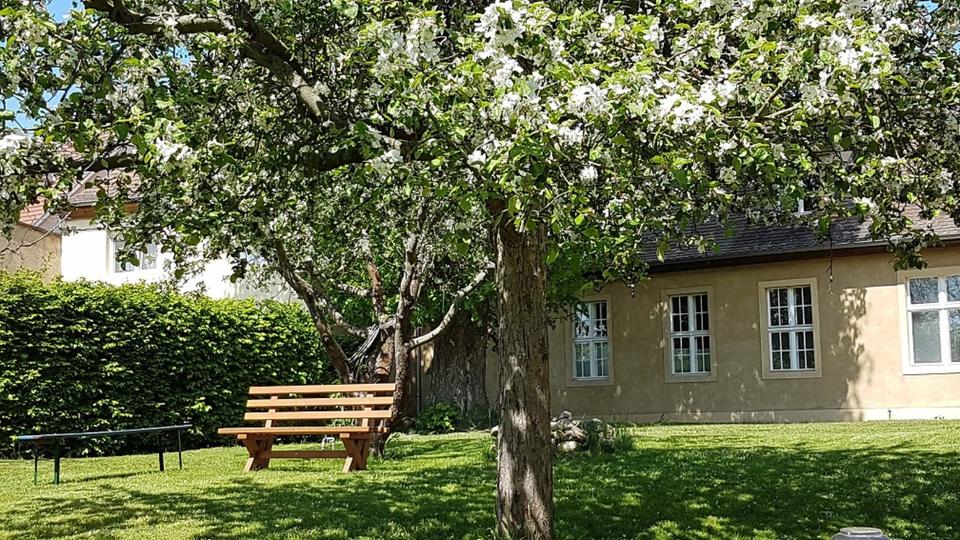 Dachgeschoßwohnung Luckau - 2 Zimmer, 58 m&sup2;, 361&euro; | Angebot:25366503