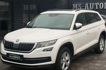 Skoda Kodiaq 239.355 km 16.950 &euro; Holzminden 37603