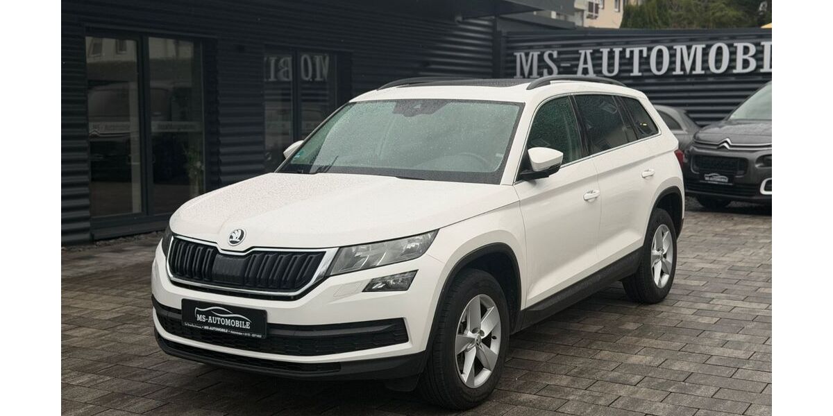 Skoda Kodiaq 239.355 km 16.950 &euro; Holzminden 37603