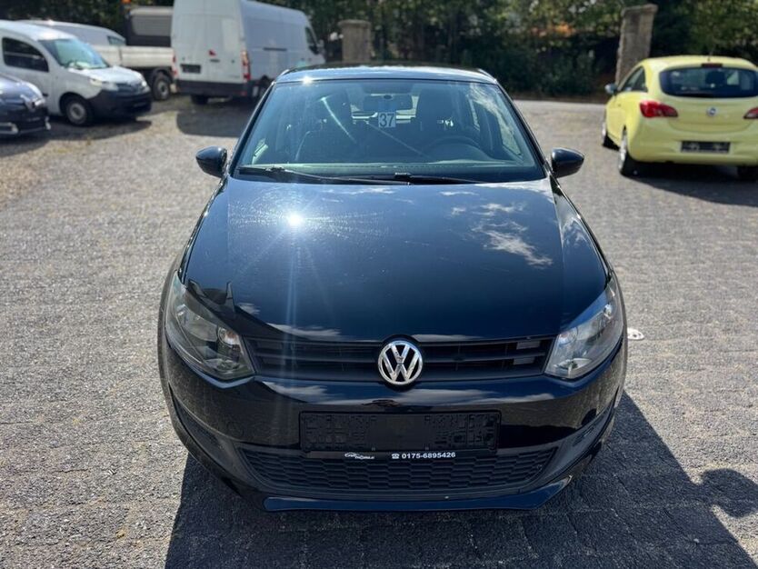 Polo
