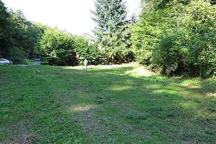 Grundstück zu verkaufen in Waldesch 339.000 € 8326 m² zimmer