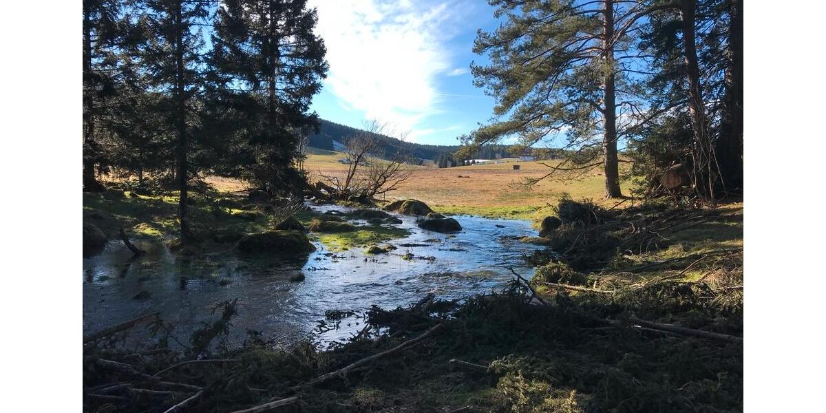 Ferienimmobilie Stuttgart Stuttgart-West - 88&euro; | Angebot:26565457