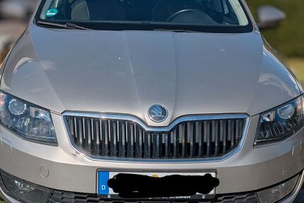 Skoda Octavia 170.419 km 9.500 € Schwanewede 28790