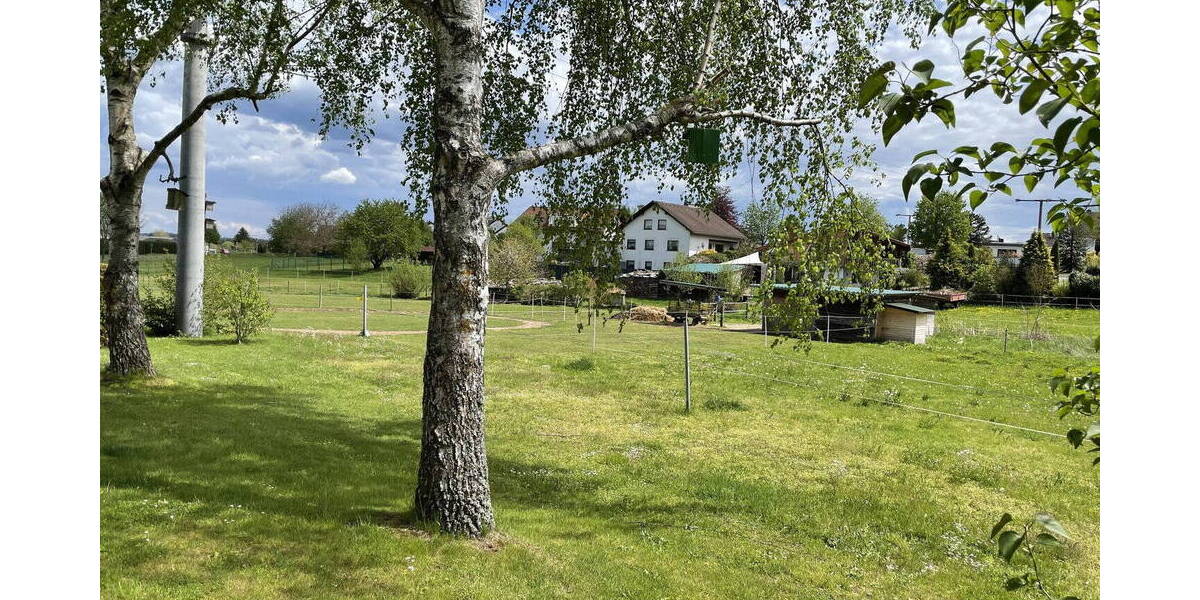 Mehrfamilienhaus, Wohnhaus Montabaur Horressen - 1 Zimmer, 337 m&sup2;, 799.232&euro; | Angebot:26817851