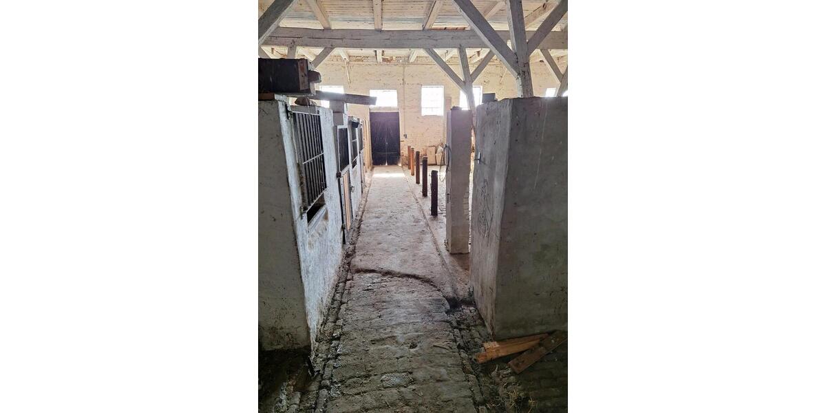 Doppelhaushälfte Malchin - 6 Zimmer, 140 m&sup2;, 159.000&euro; | Angebot:26145007