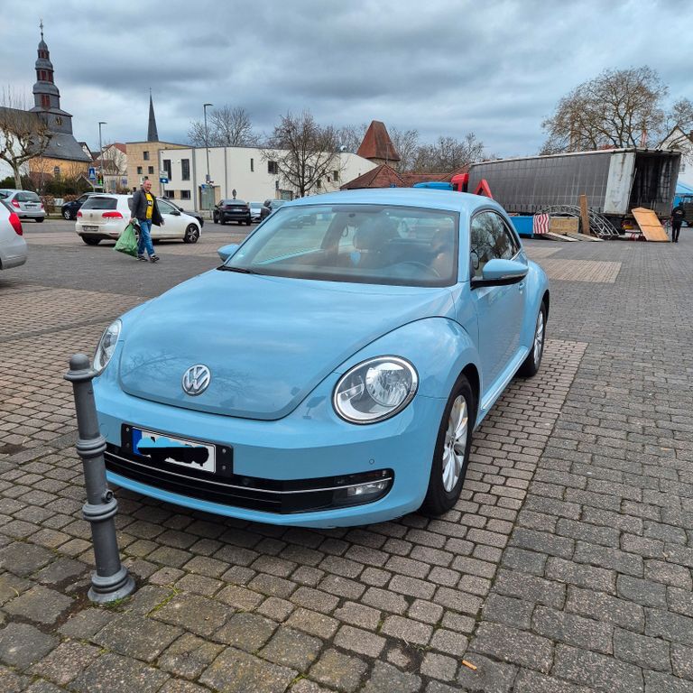 Beetle