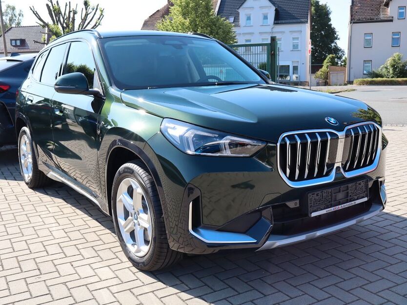 BMW X1 1.200 km 48.990 € Kretzschau 06712