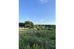 Grundstück Rheinsberg (Flecken/Zechlin) Dorf Zechlin - 209.000&euro; | Angebot:26695142