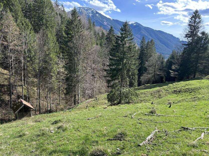 Grundstück zu verkaufen in Rottach-Egern 249.800 € 24980 m²