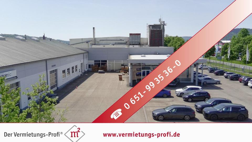 Trier-Euren: Moderne, barrierefreie Halle mit 310 m² – vielseitig nutzbar, große Fensterfront, Glasbüro & neuer moderner Gasheizung zimmer
