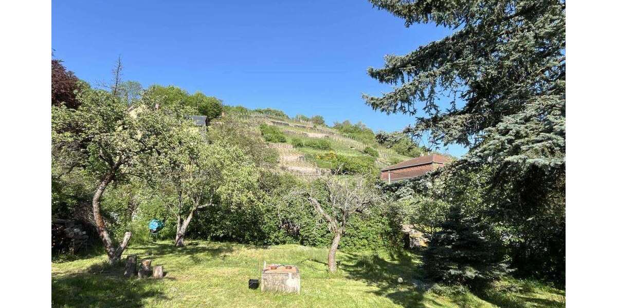 Grundstück zu verkaufen in Radebeul 330.000 € 600 m² zimmer