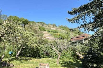 Grundstück zu verkaufen in Radebeul 385.000 € 600 m² zimmer