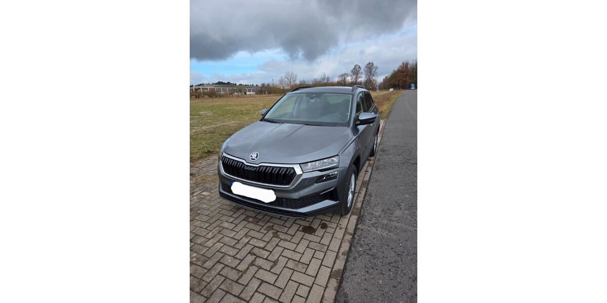 Skoda Karoq 10.000 km 29.000 &euro; Perleberg 19348