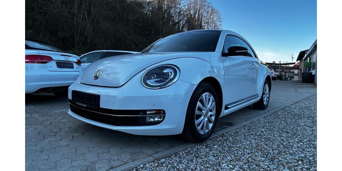 VW Beetle 155.800 km 9.990 &euro; Eichstetten am Kaiserstuhl 79356