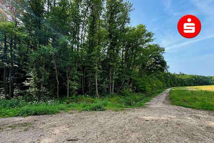 Grundstück Altdorf - 99.000&euro; | Angebot:25199057