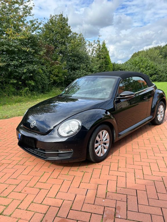Beetle