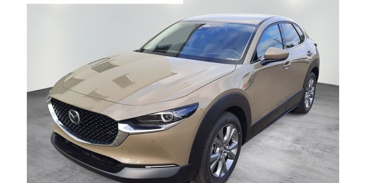 Mazda CX-30 3.600 km 25.350 &euro; Torgau 04860