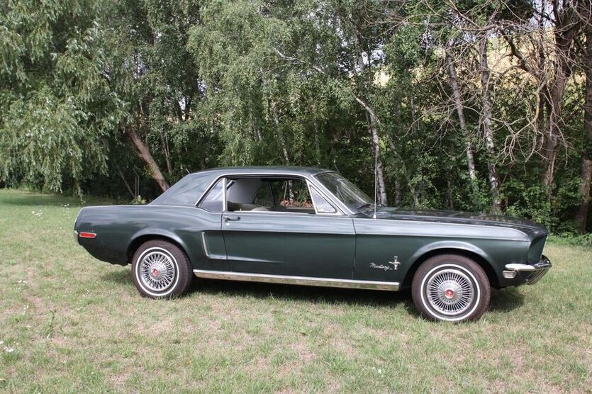 Mustang