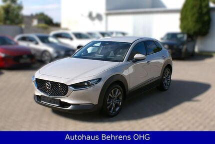 Mazda CX-30 36.210 km 25.990 € Magdeburg 39116