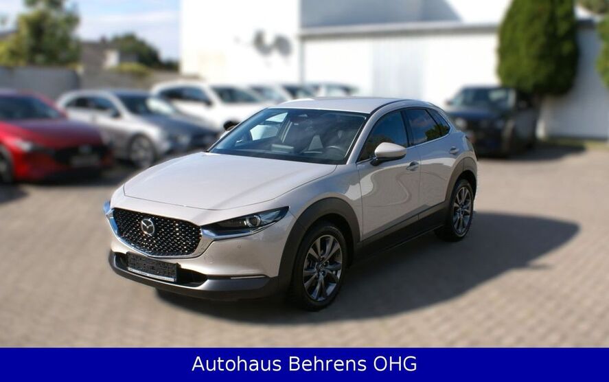Mazda CX-30 36.210 km 25.990 € Magdeburg 39116