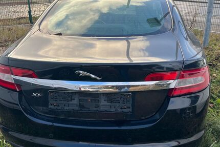 Jaguar XF 195.200 km 5.990 &euro; Berlin 12309