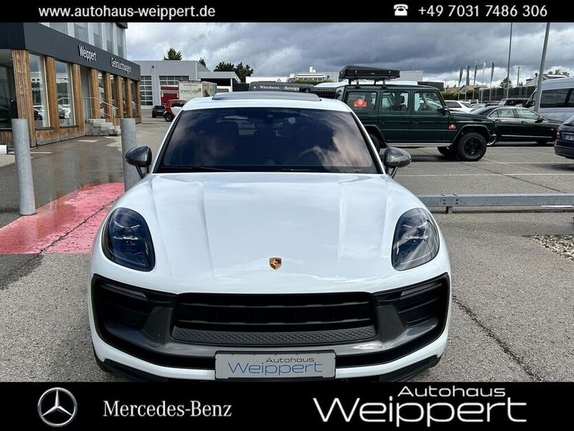 Macan