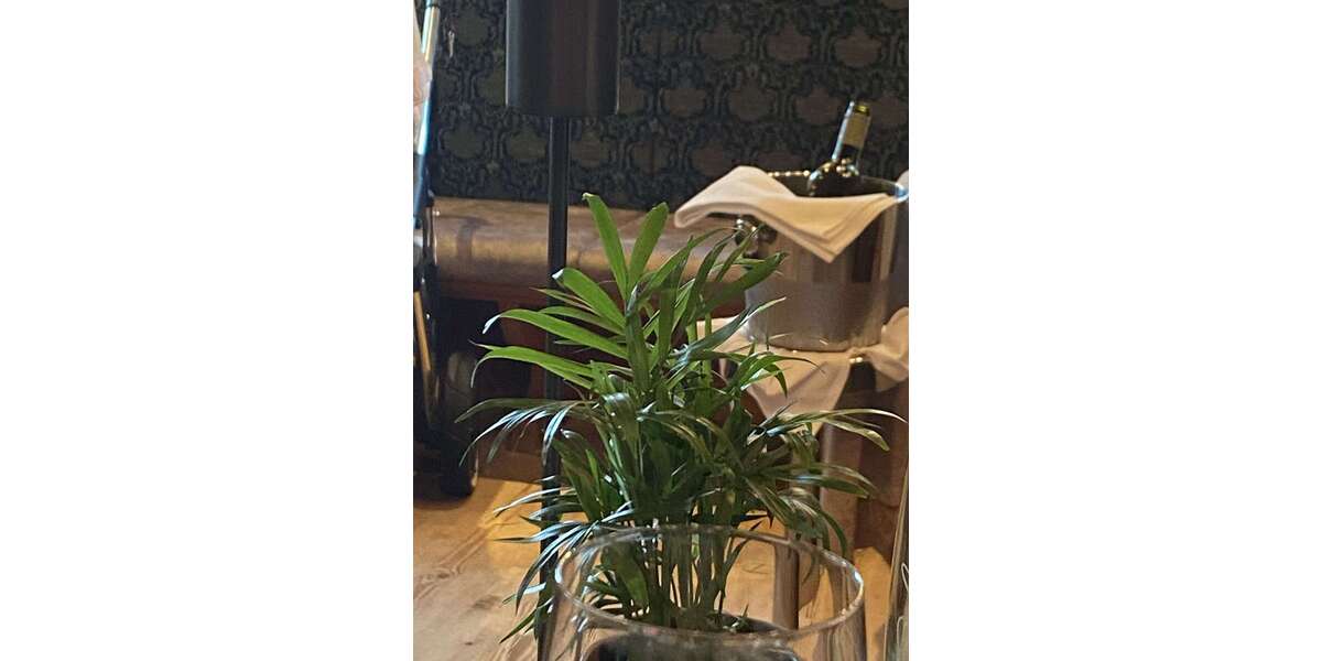 Gewerbeobjekt Kelkheim - 1.150.000&euro; | Angebot:24840131