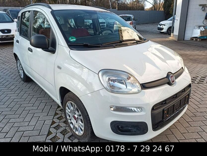 New Panda