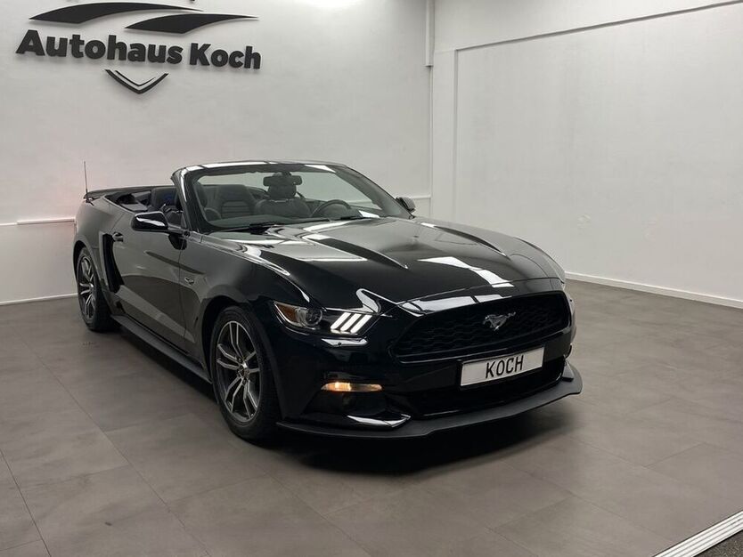 Mustang