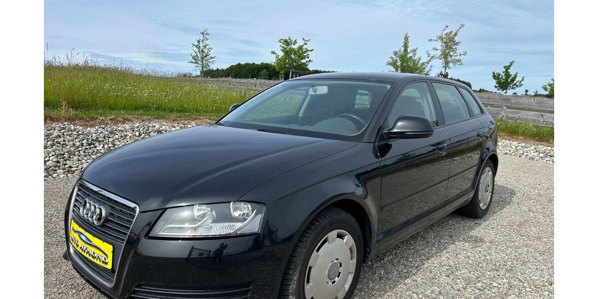 Audi A3 254.883 km 3.000 &euro; Pittenhart 83132